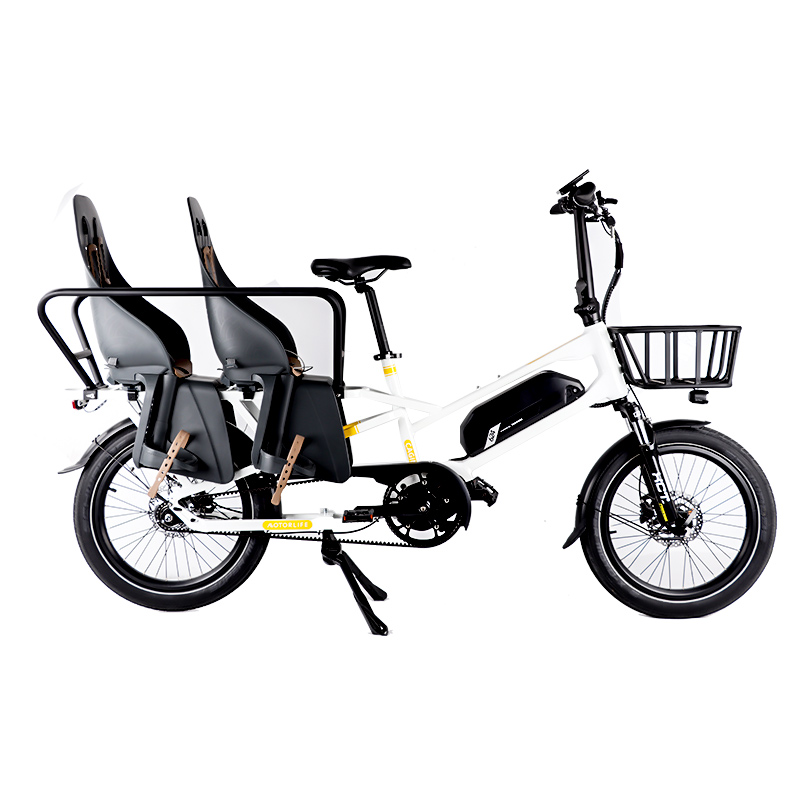 HZ047-Cargo-White-Parrot