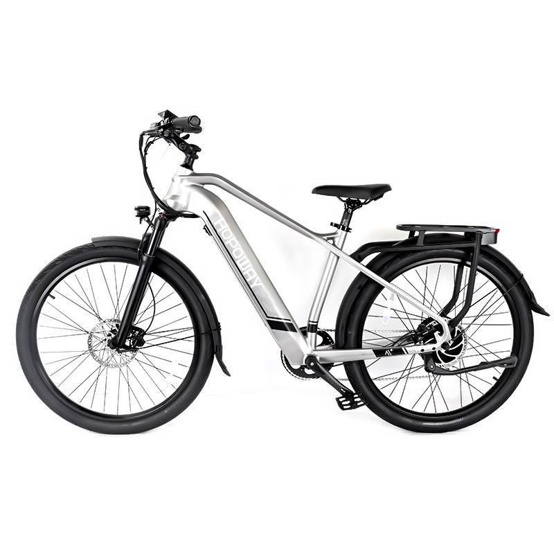 HZ037-Cheetah-City-Rear-Man