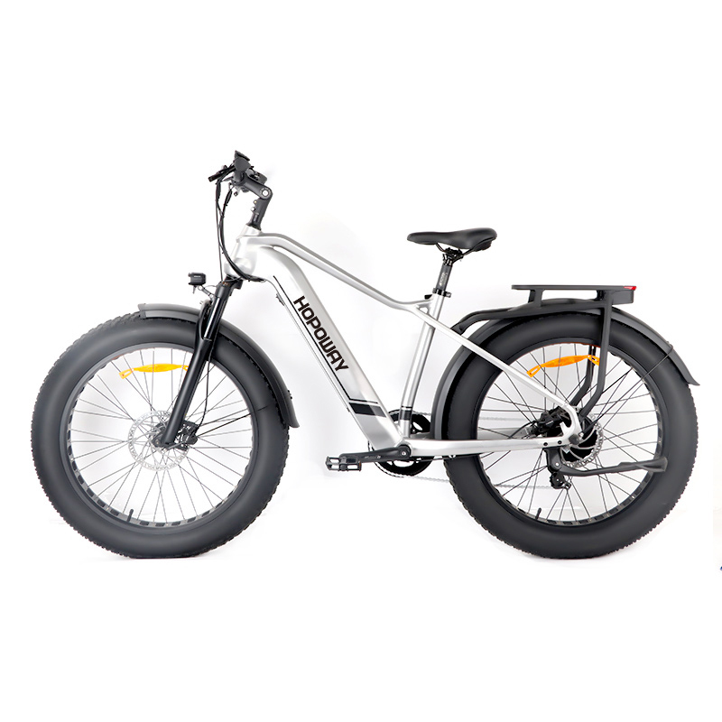 HZ043-Cheetah-Snow-Rear-Man